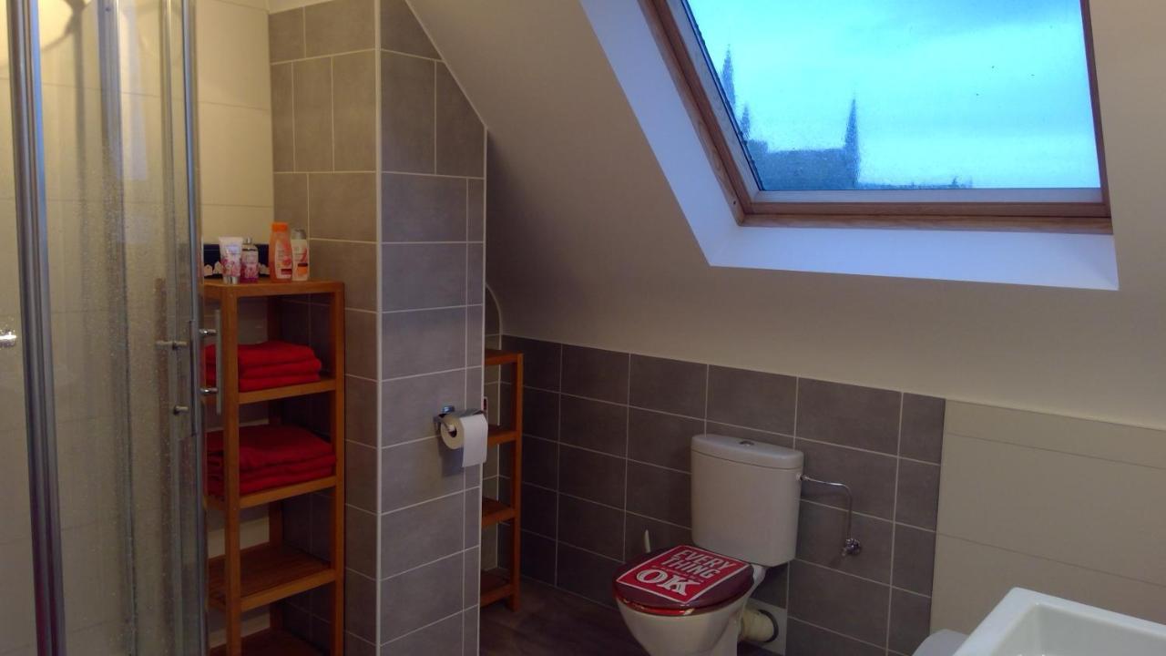 De Blauwvoet Studio Apartman Nieuwpoort Kültér fotó